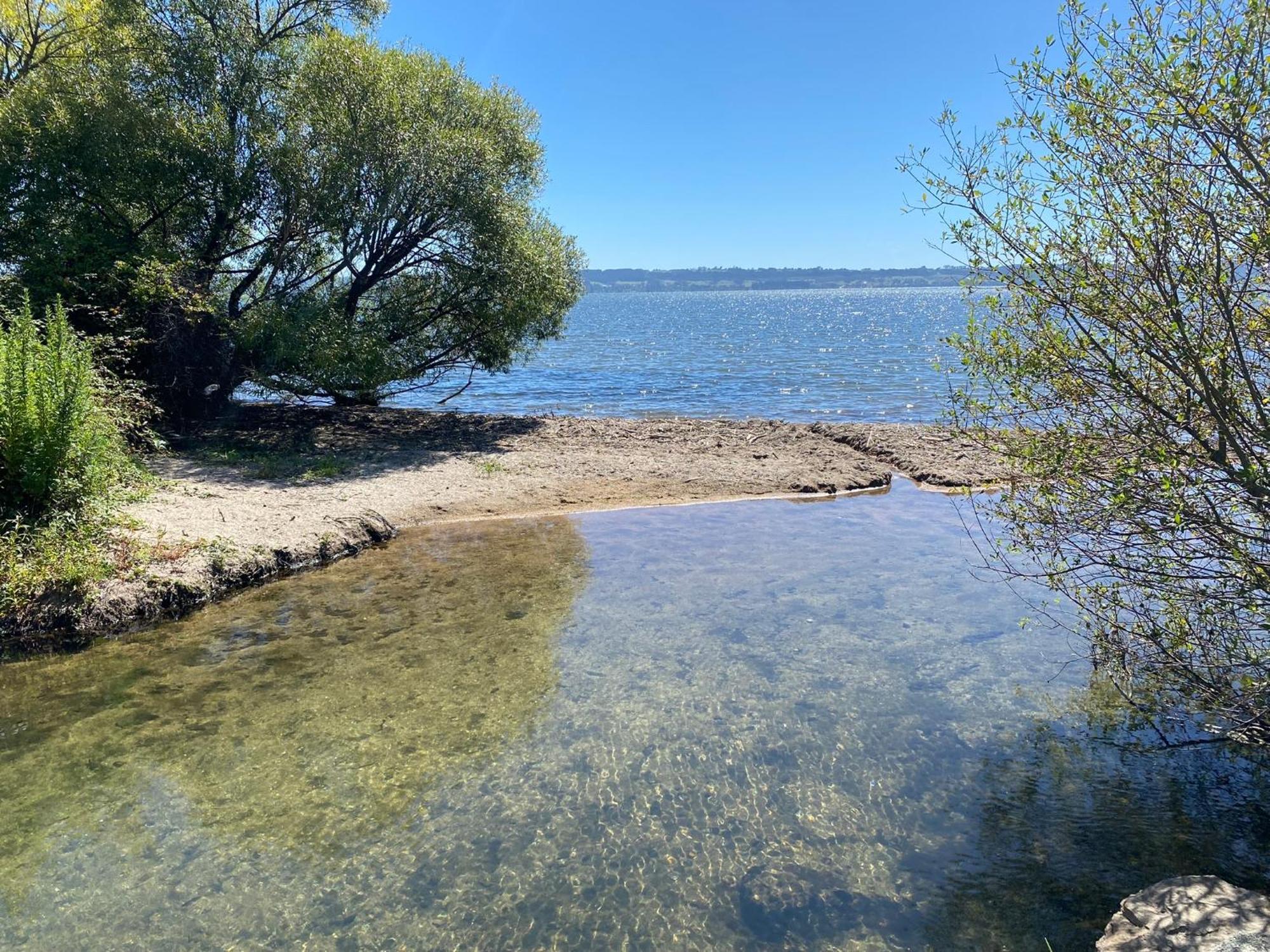 Zodiac Bay Lake Retreat Rotorua Luaran gambar